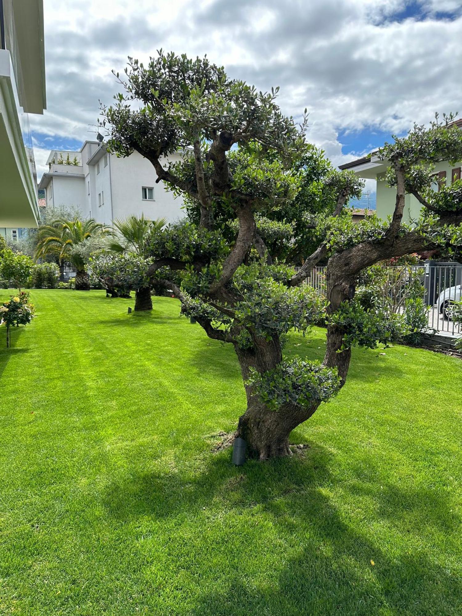 Residence Villa Dalila - Appartamento Dalila Рива-дель-Гарда Экстерьер фото